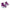 2026 Ronix August Boots 2-6 - Purple / White