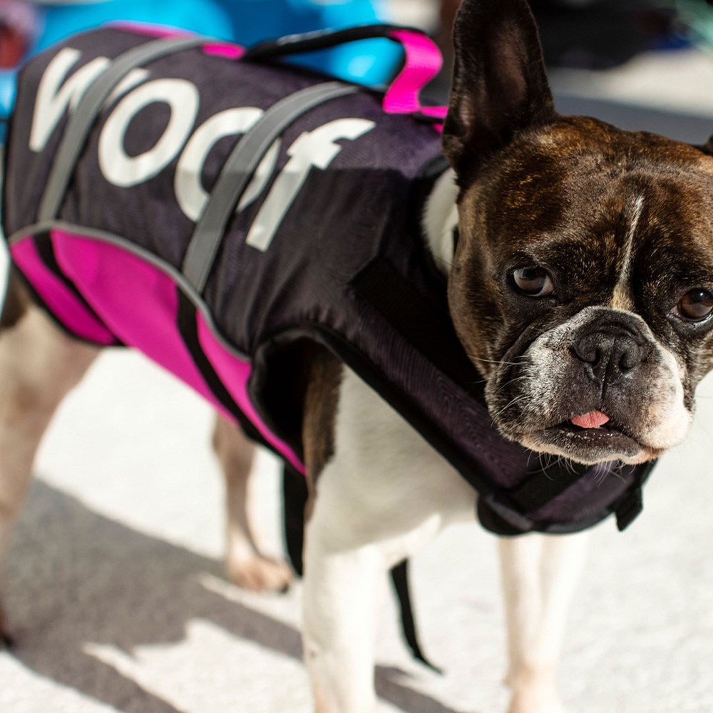2023 Follow Follow Dog Floating Aid - Pink