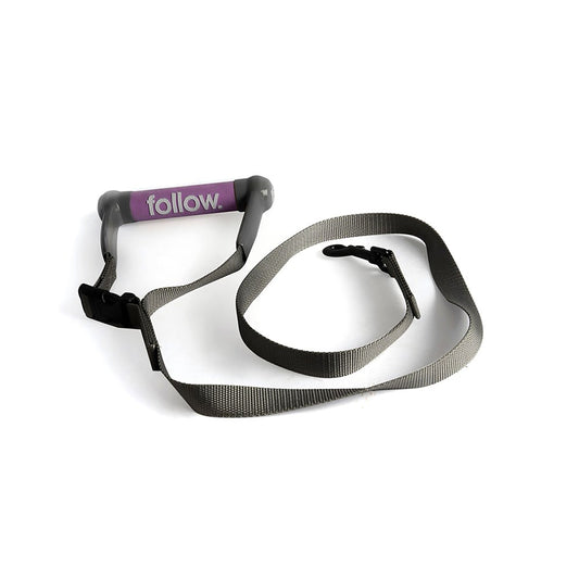 2025 Follow Follow Dog Lead  - Grey/ Purple